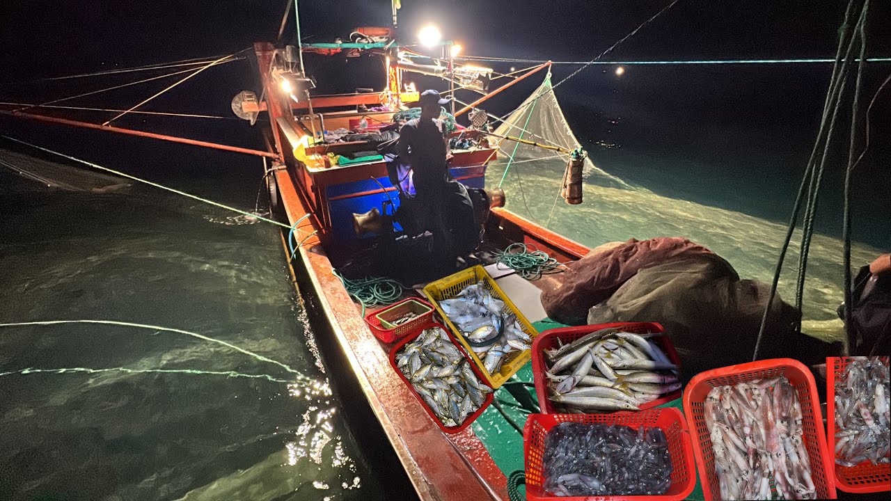 Mành Chụp Gần Bờ Chiều Đi Sáng Về Đánh Bắt Hàng Tươi Sống - Dân Biển