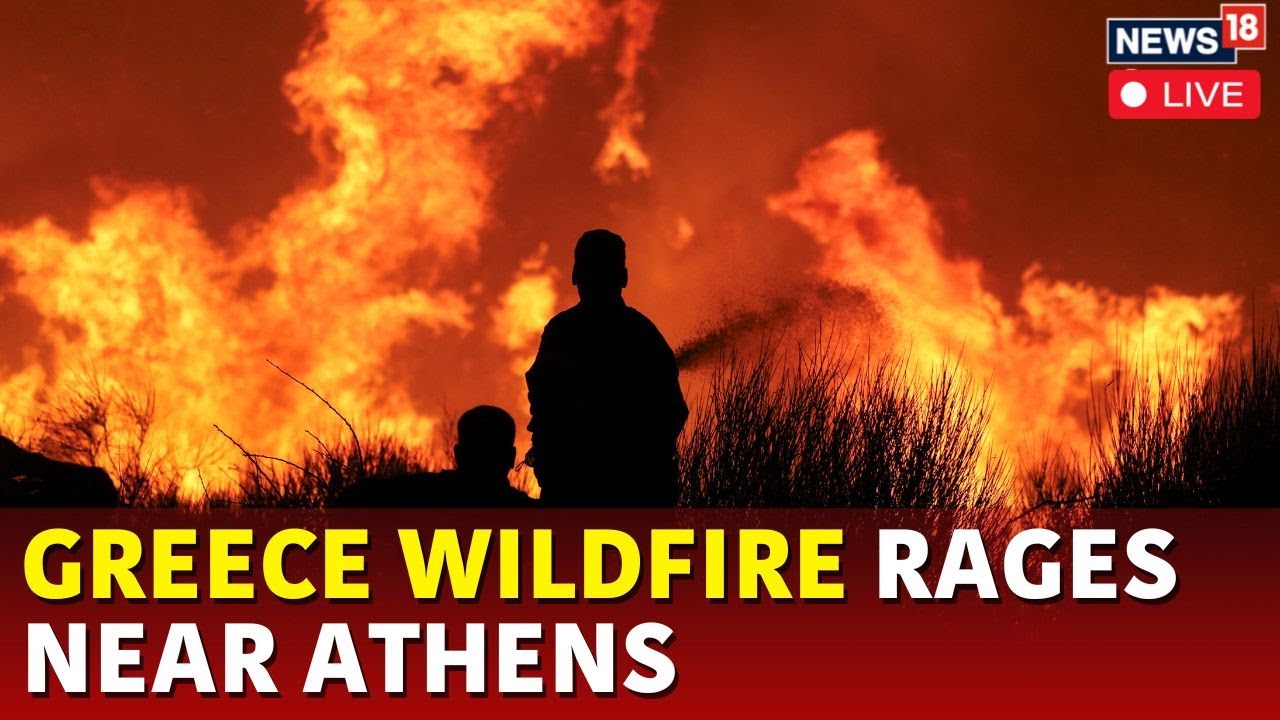 Athens Wildfire Live News | Athens Wildfire Track Live | Greece Wildfire Continues To Rage | N18G