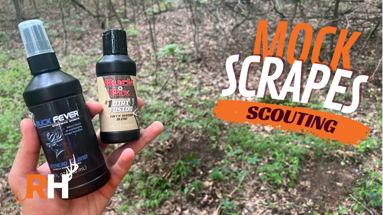 How to Make a Mock Scrape | Summer Scouting