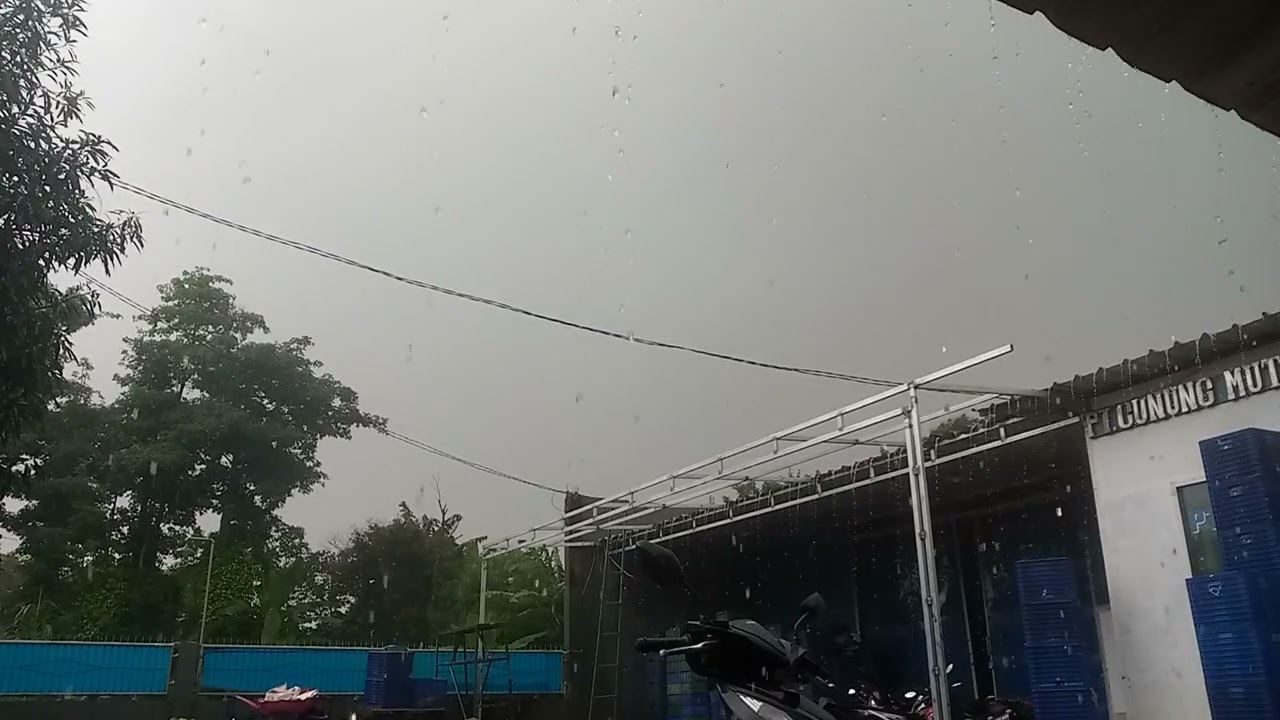 Afternoon Rain Sounds ASMR | Calm Drizzling Rain for Deep Relaxation