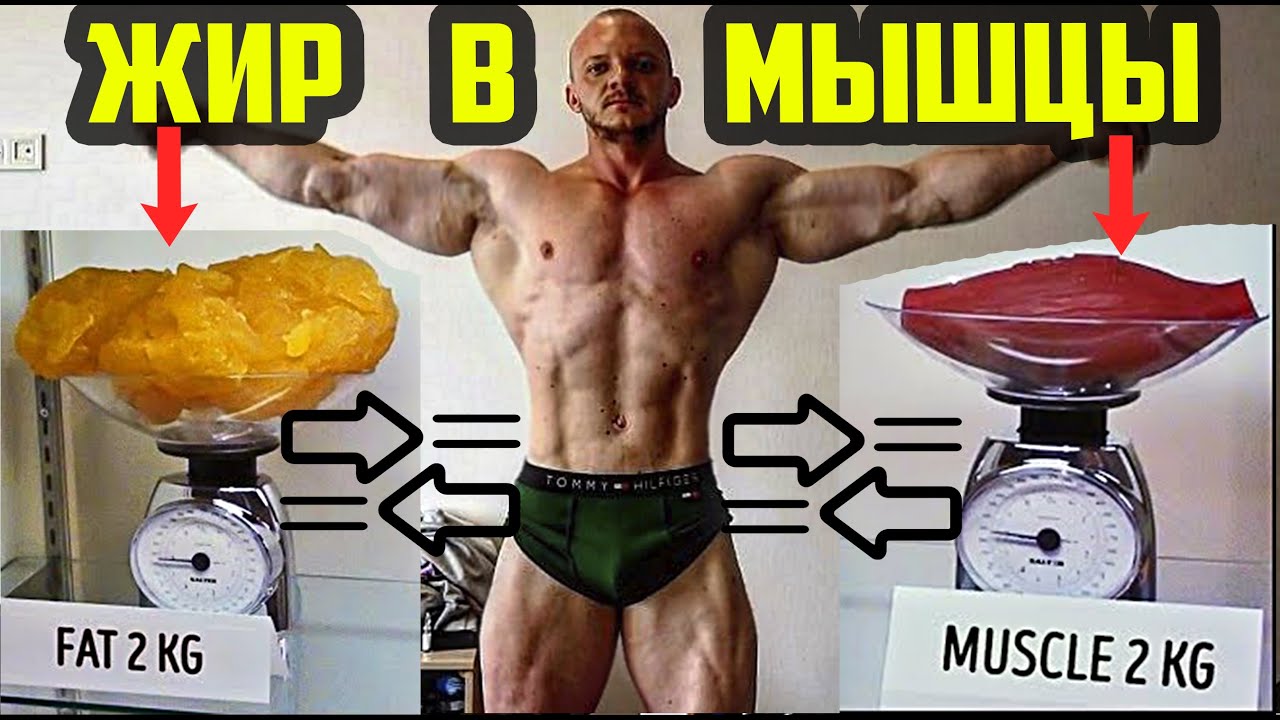 КОНВЕРТИРУЕМ ЖИР В МЫШЦЫ НАТУРАЛЬНО - СЖИГАТЬ ЖИР И НАРАЩИВАТЬ МЫШЦЫ ОДНОВРЕМЕННО | РЕКОМПОЗИЦИЯ