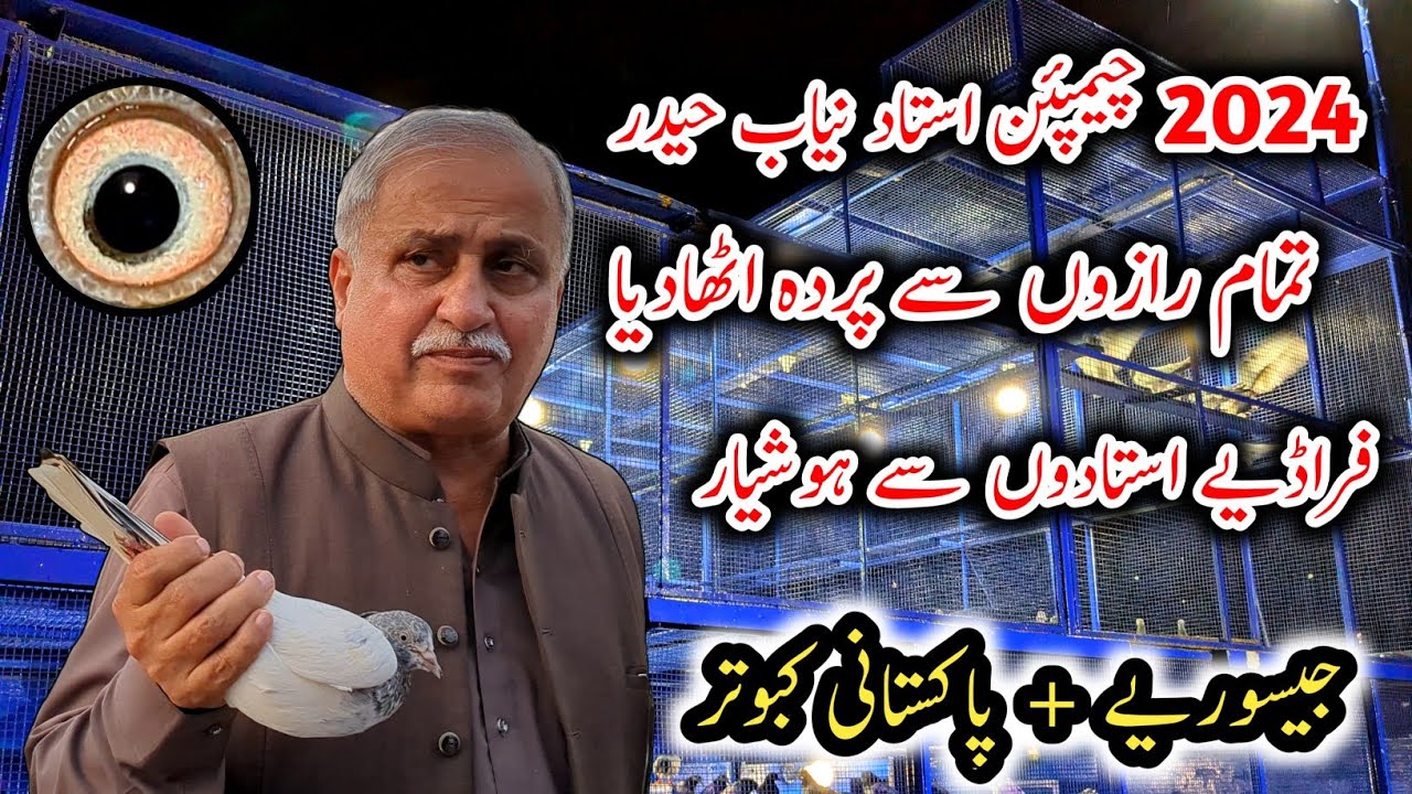 Legend Ustad Nayab Haider // Kabootar Bazi Bata Di // Pigeons Master // Champion Ustad 2024