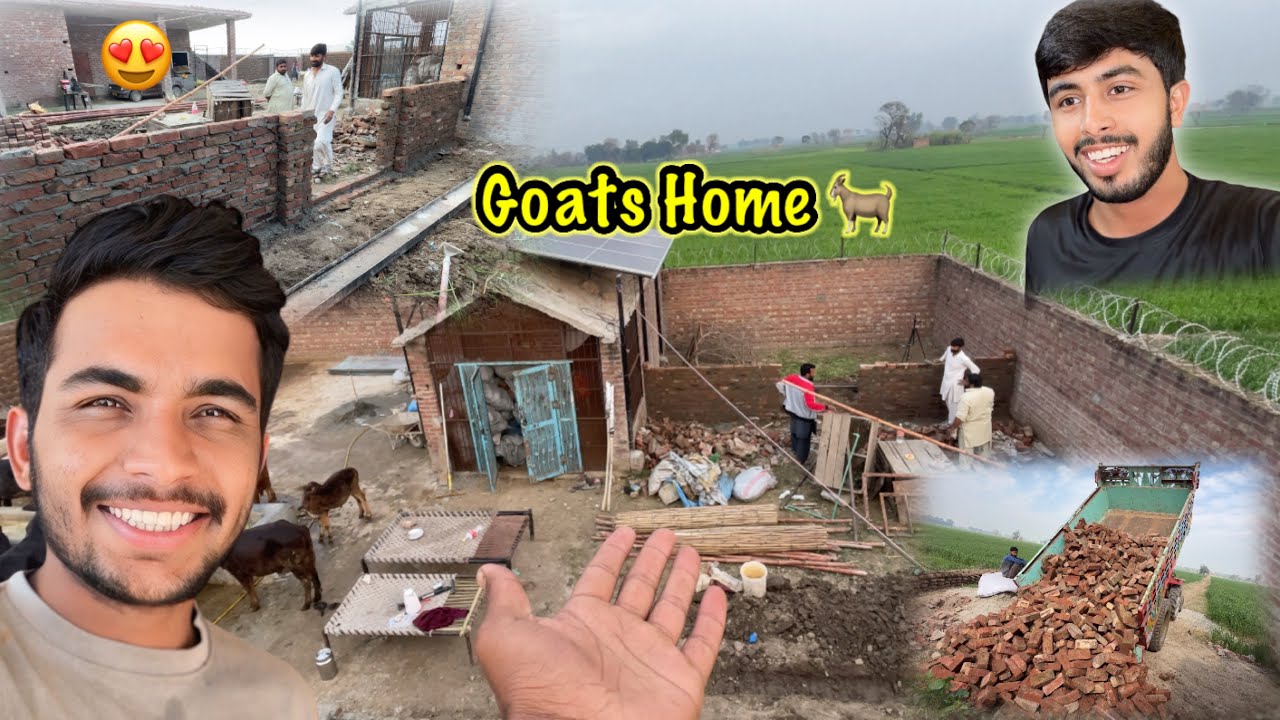 Goats Home 🐐Ka Kam Start Ho Gya 😍 For New Goat Farming | Zohaib Pendu | Saqlain Pendu 