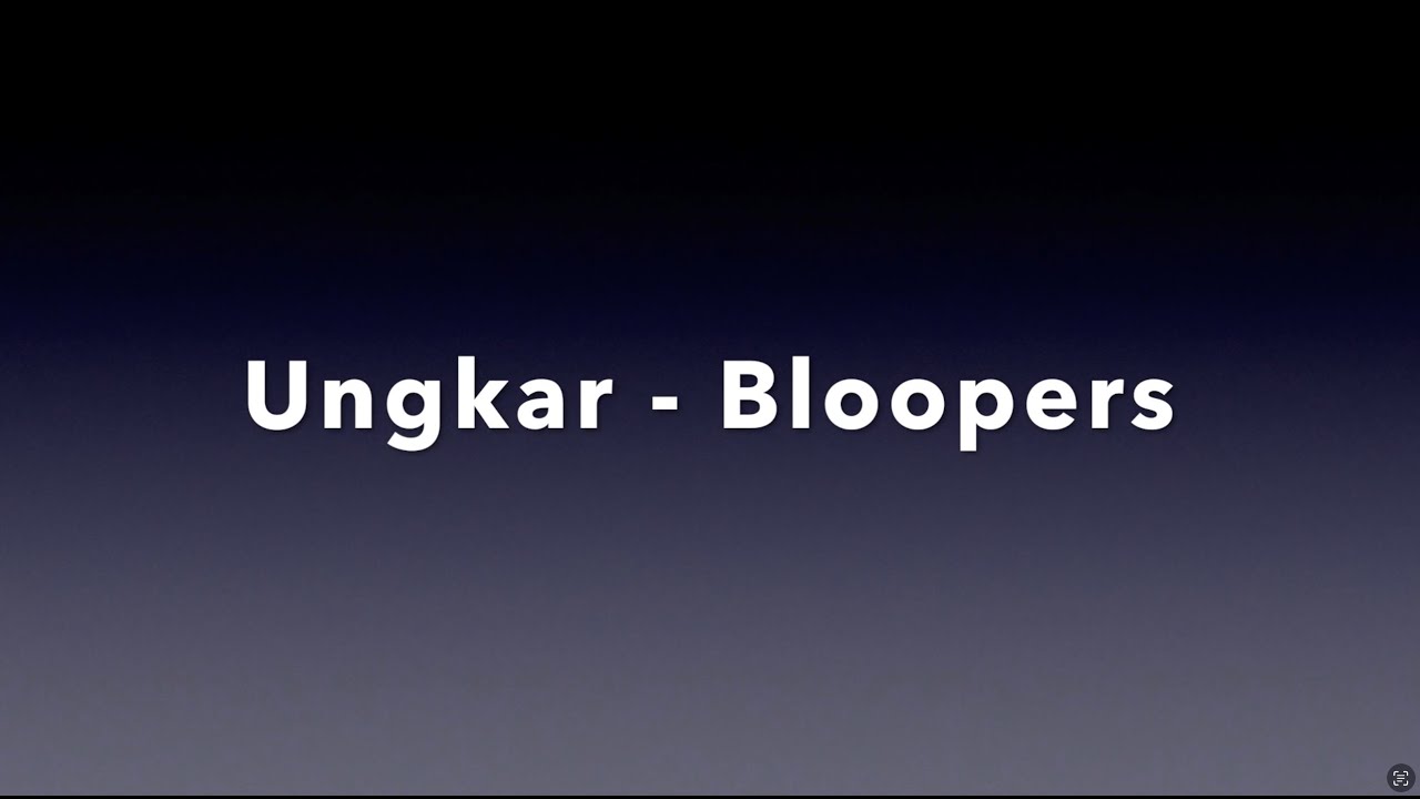 Ungkar bloopers - Sygna VG2