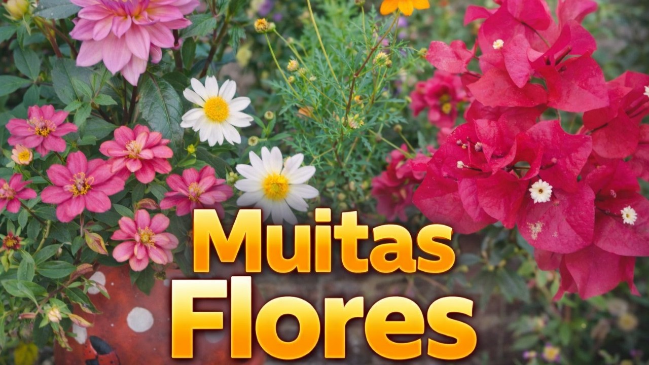 Muitas flores no meu quintal/fiz mudanças 🌸👀