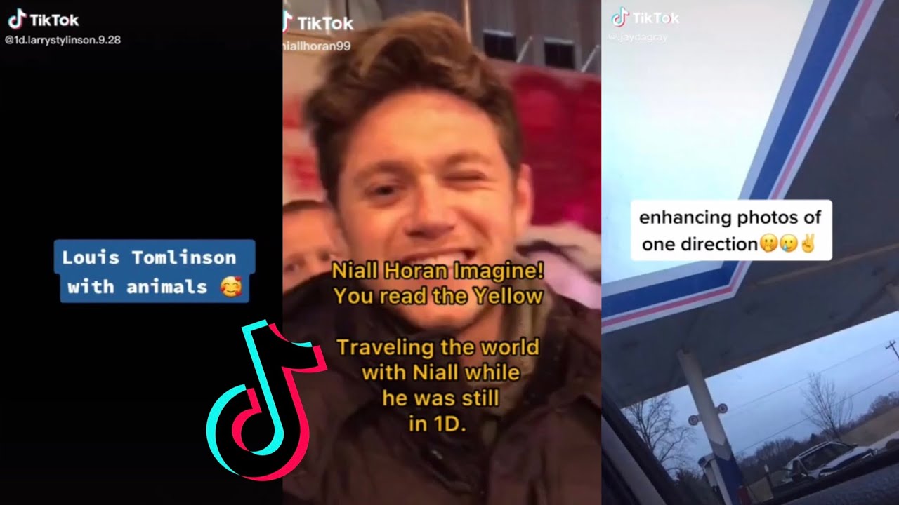 One Direction/Larry tiktoks to watch coz it’s better than doing homework