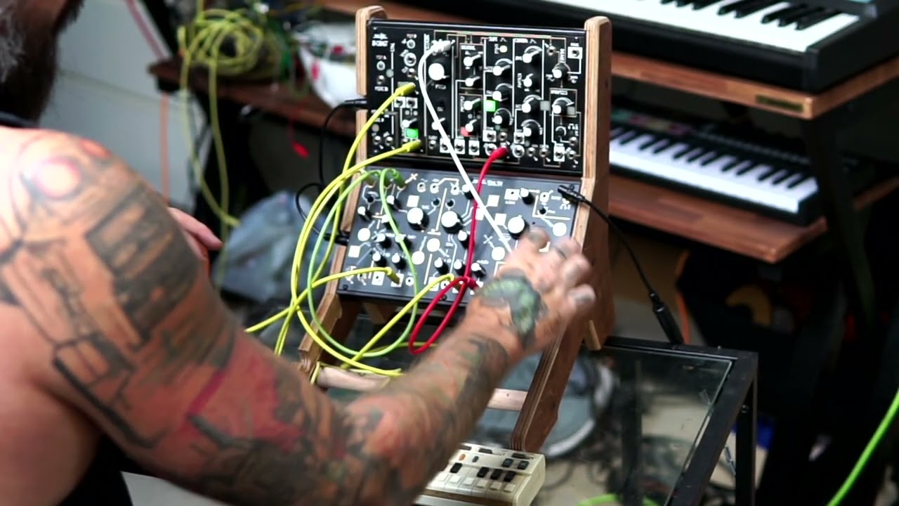 Make Noise Strega jam! With a Casio VL Tone.
