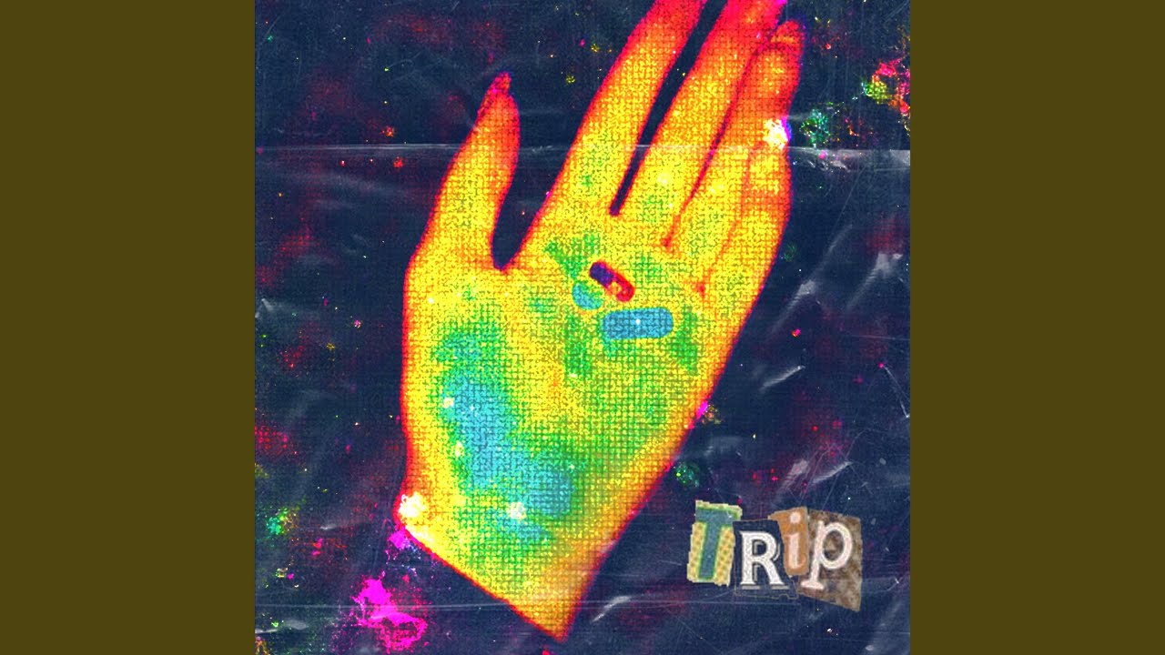 Trip