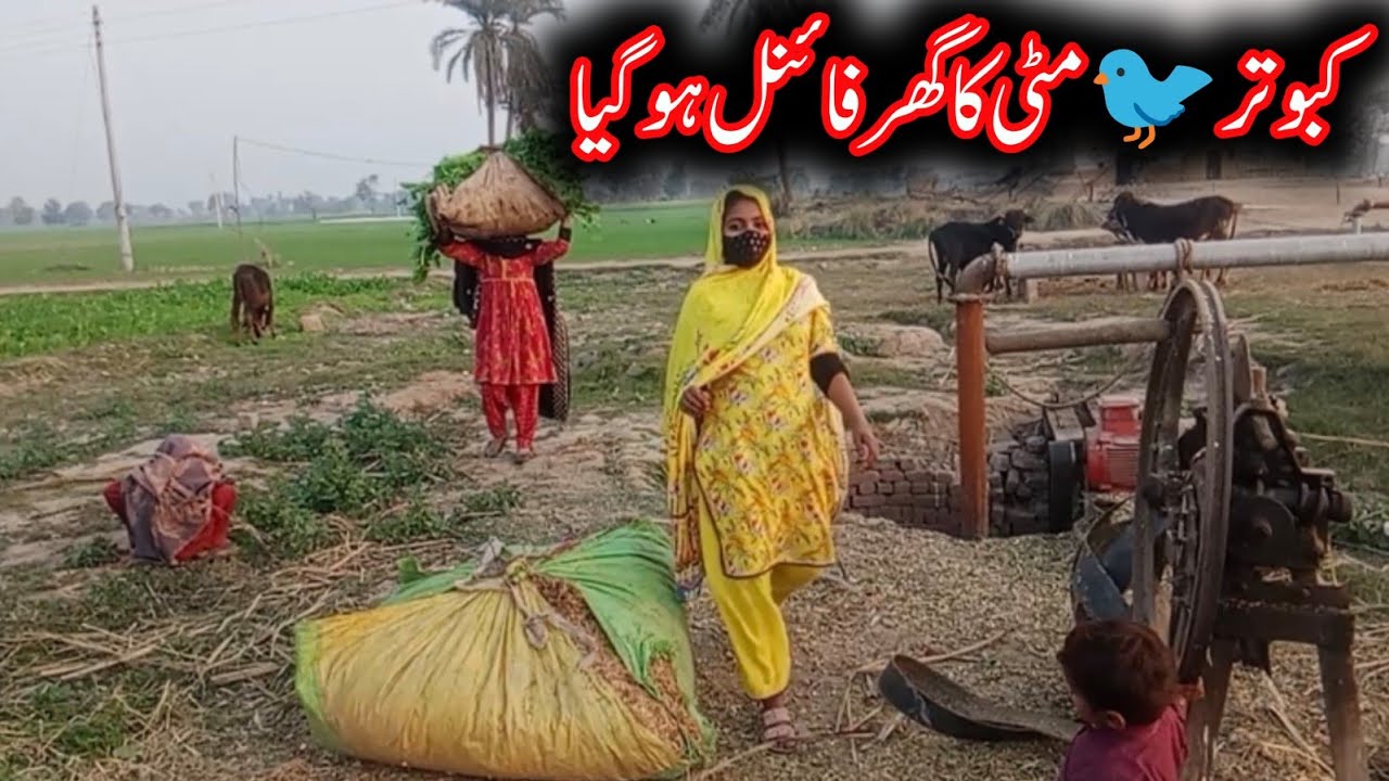 How to make a Pigeon s house with bricks and cows new house  a Pigeon 🐦 Matti Ka house final ho Gaya