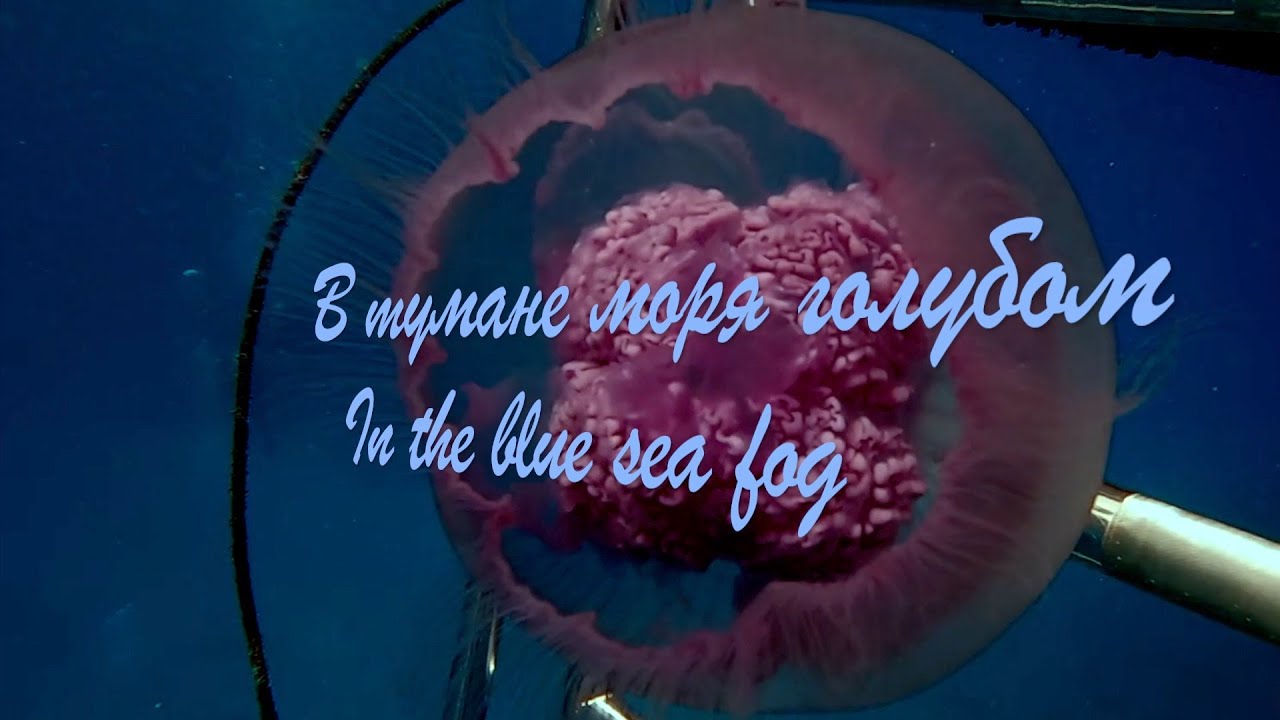 В тумане моря голубом/In the blue sea fog