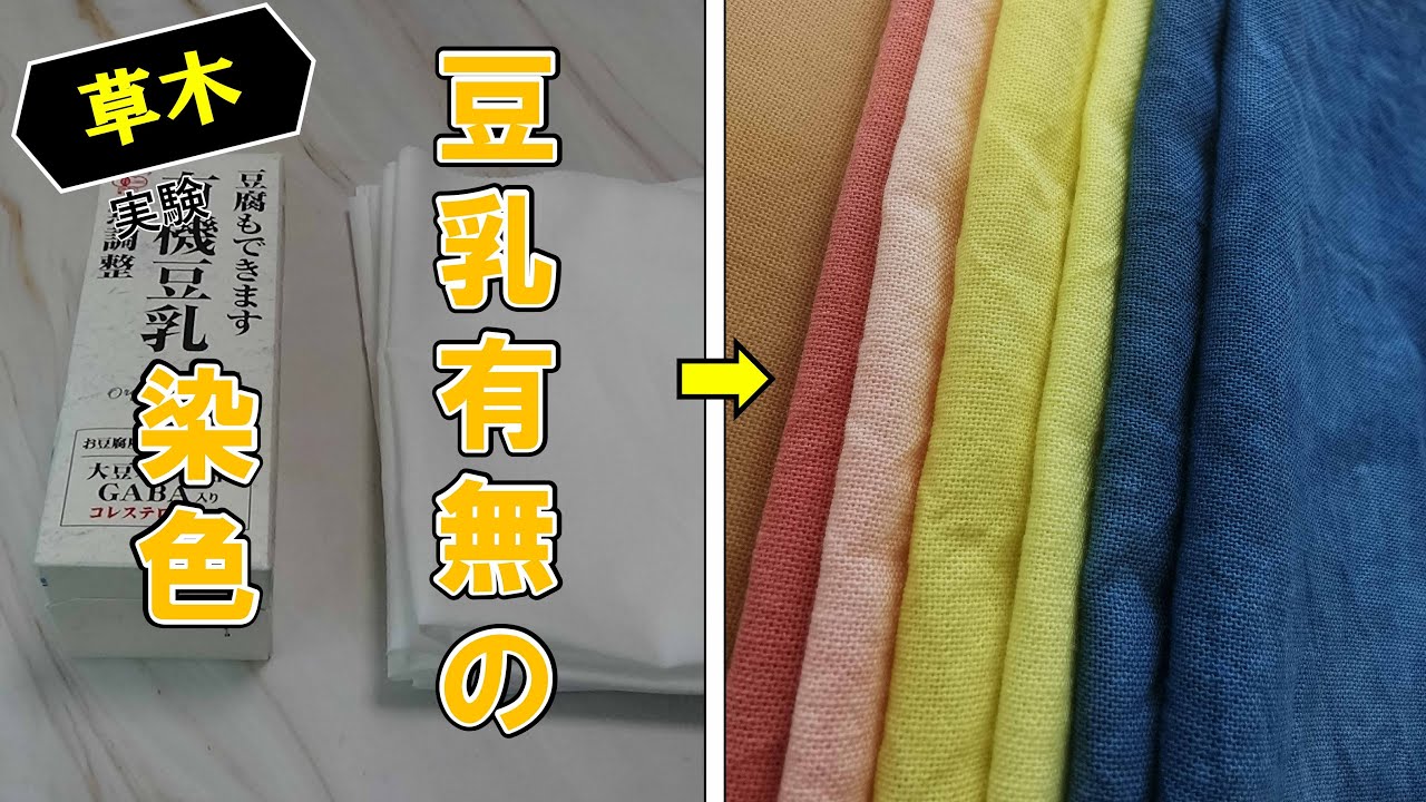 【草木】染色で豆乳下地がない場合を検証してみた。/[Plants] I tried to verify what would happen without soy milk when dyeing.