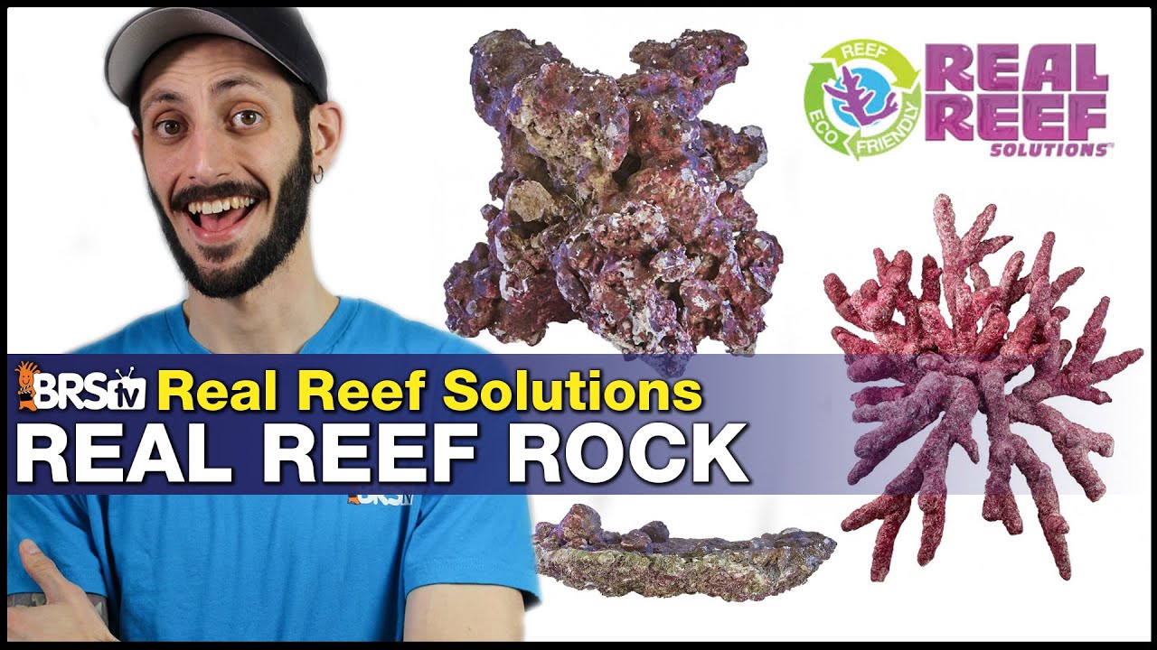 Real Reef Solutions Dry Rock: Natural looking aquascape = Amazing from day ONE!