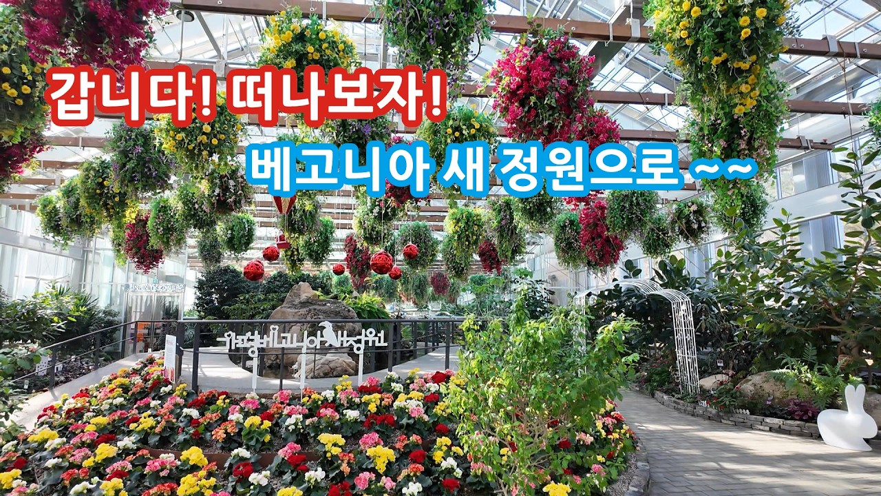 갑니다! 떠나보자! 가평베고니아 새 정원으로~