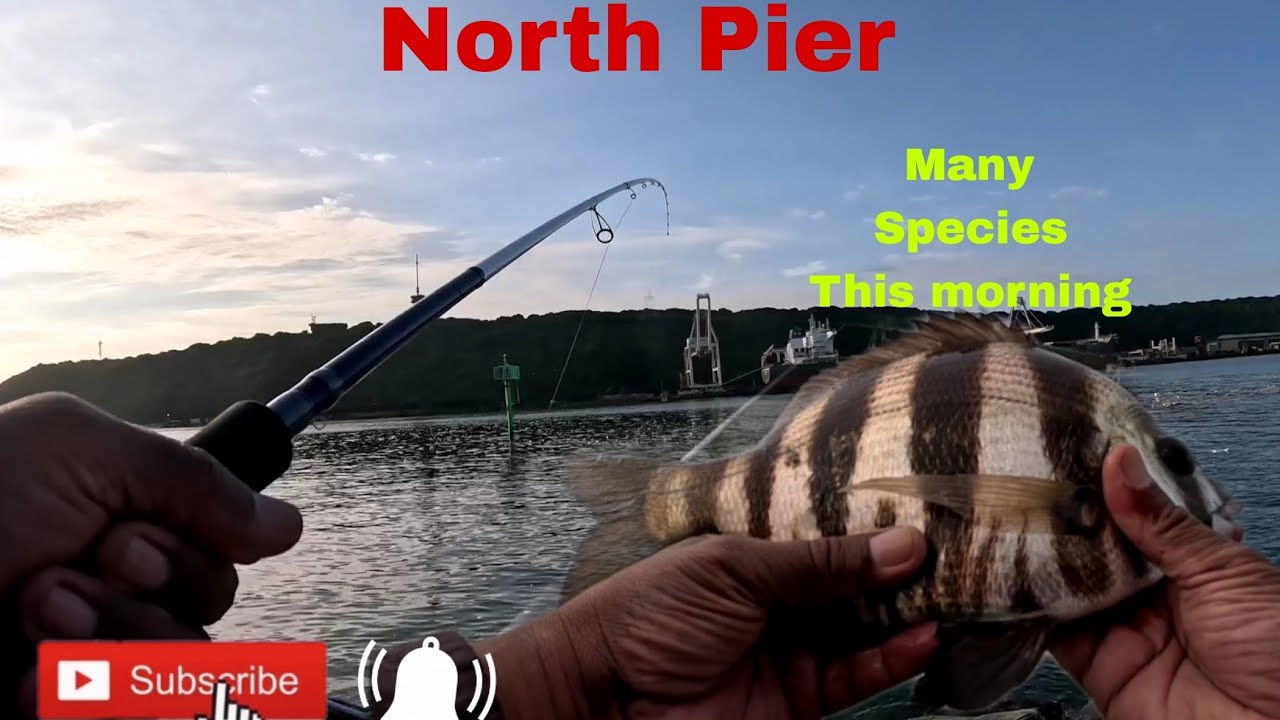 OFFROAD4LIFE, Fishing, North Pier, Durban, South Africa