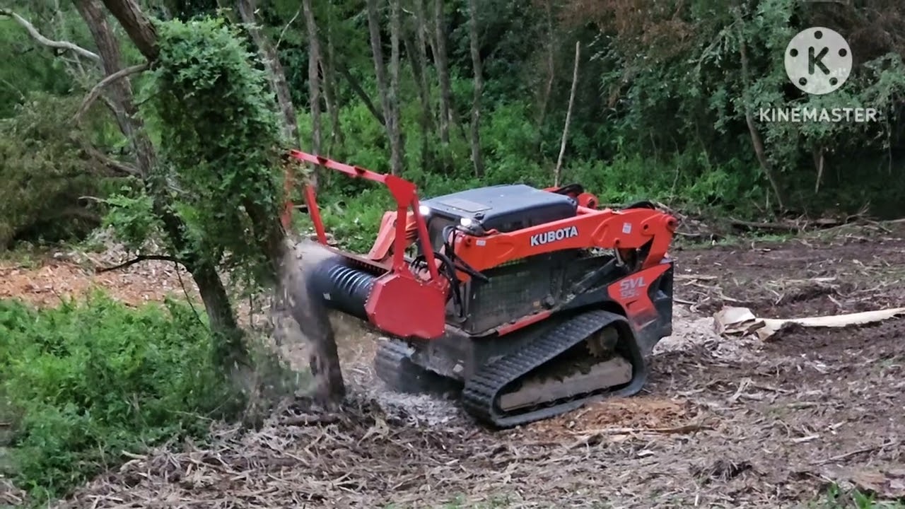raytree drum mulcher testing on large trees
