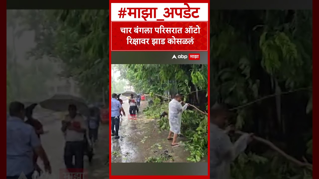 Mumbai Rain :  चार बंगला परिसरात ऑटो रिक्षावर झाड कोसळलं