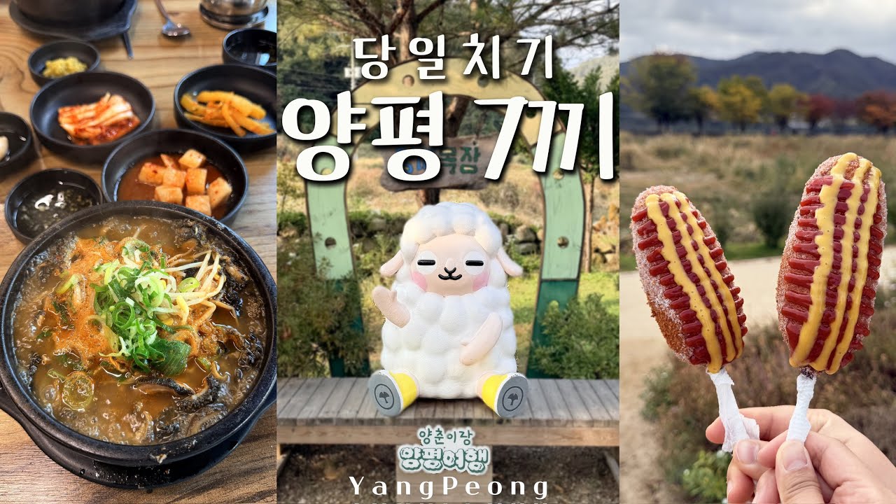 서울 근교 양평 드라이브 추천 코스 & 맛집 🇰🇷 | 두물머리 연핫도그, 양평해장국, 동네빵집, 송어회 등등 싹싹긁은 양평 먹부림 당일치기 여행