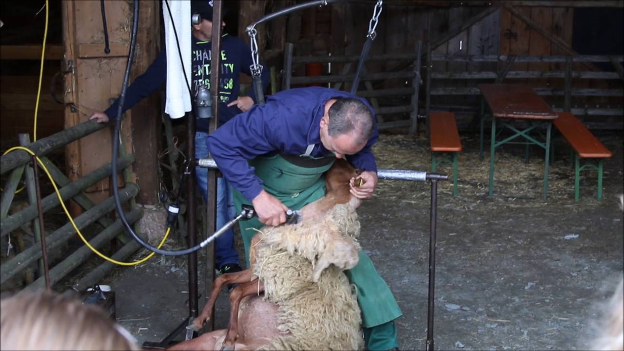 Sch&auml;ferei Hessenpark