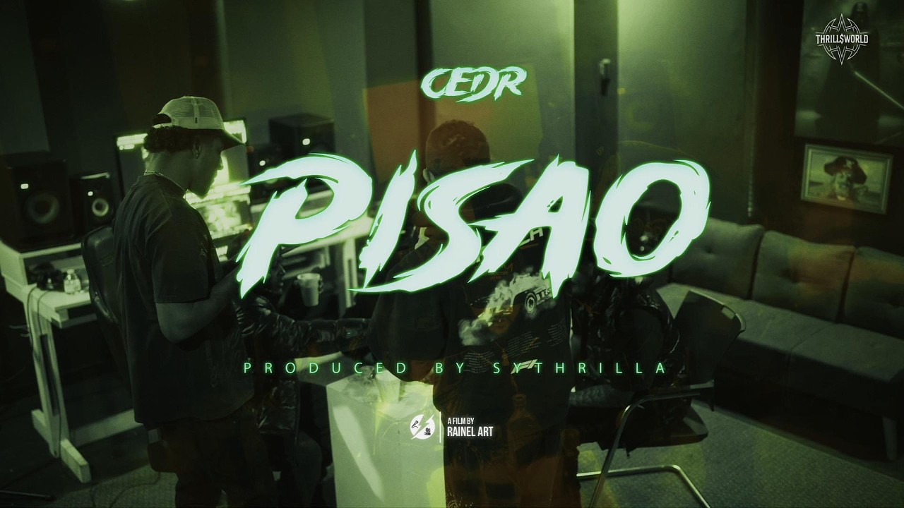 CEDR - Pisao (Visualizer) | EndLine