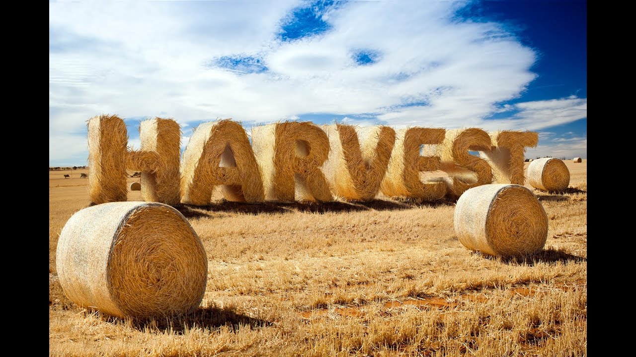 Create  Stylized Hay Bale Typography in Photoshop