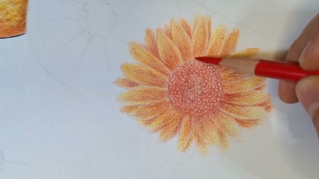 CURSO INTERMEDIO DE DIBUJO Clase 7, comenzamos la flor. INTERMEDIATE DRAWING COURSE, Class 7, flower