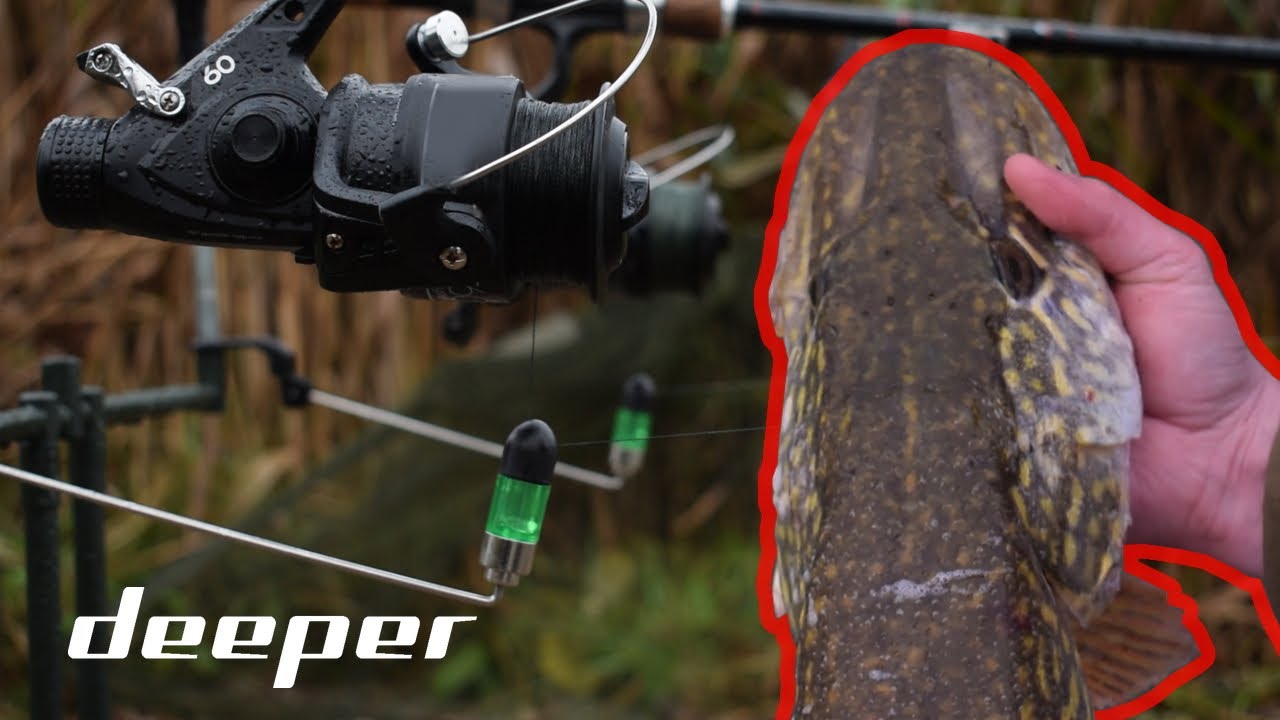 LYDEKOS NEGYVA ŽUVELE SU DEEPER
