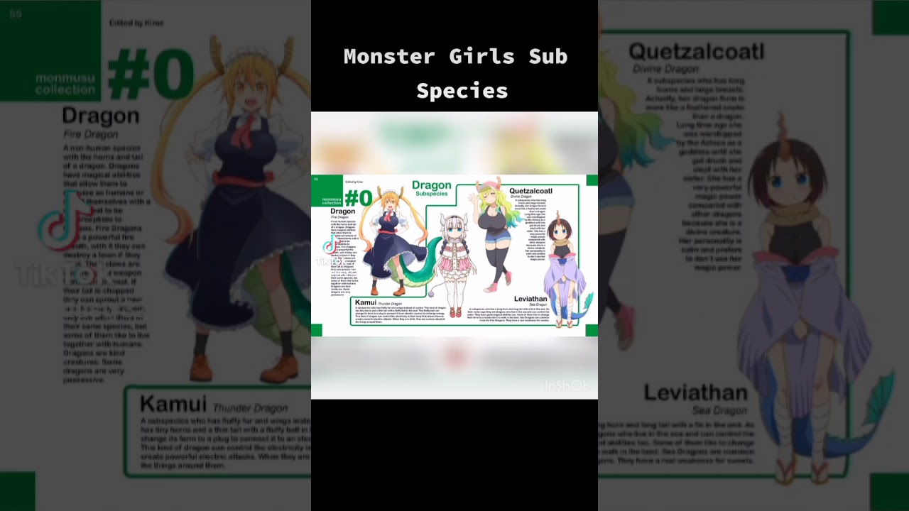 Anime Monster Girls #anime #monstergirls #monstergirlquest
