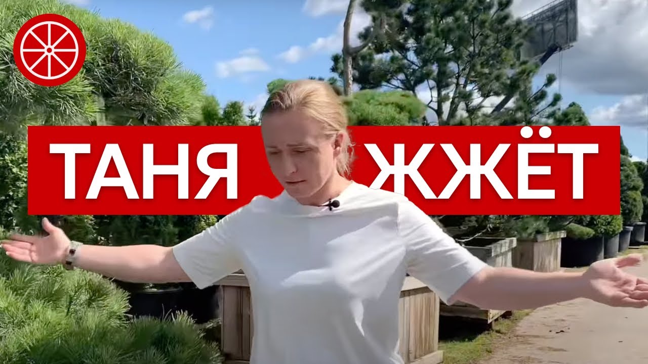 Секреты правильного выбора растений для сада: экспертное руководство С ЮМОРОМ #сад