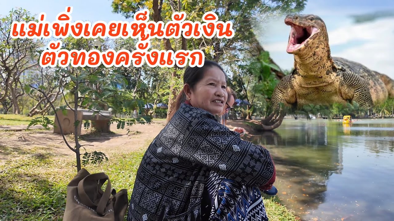 สาวลาวพาแม่มาเดินสวนลุมพินีดูตัวเงินตัวทองครั้งแรก‼️