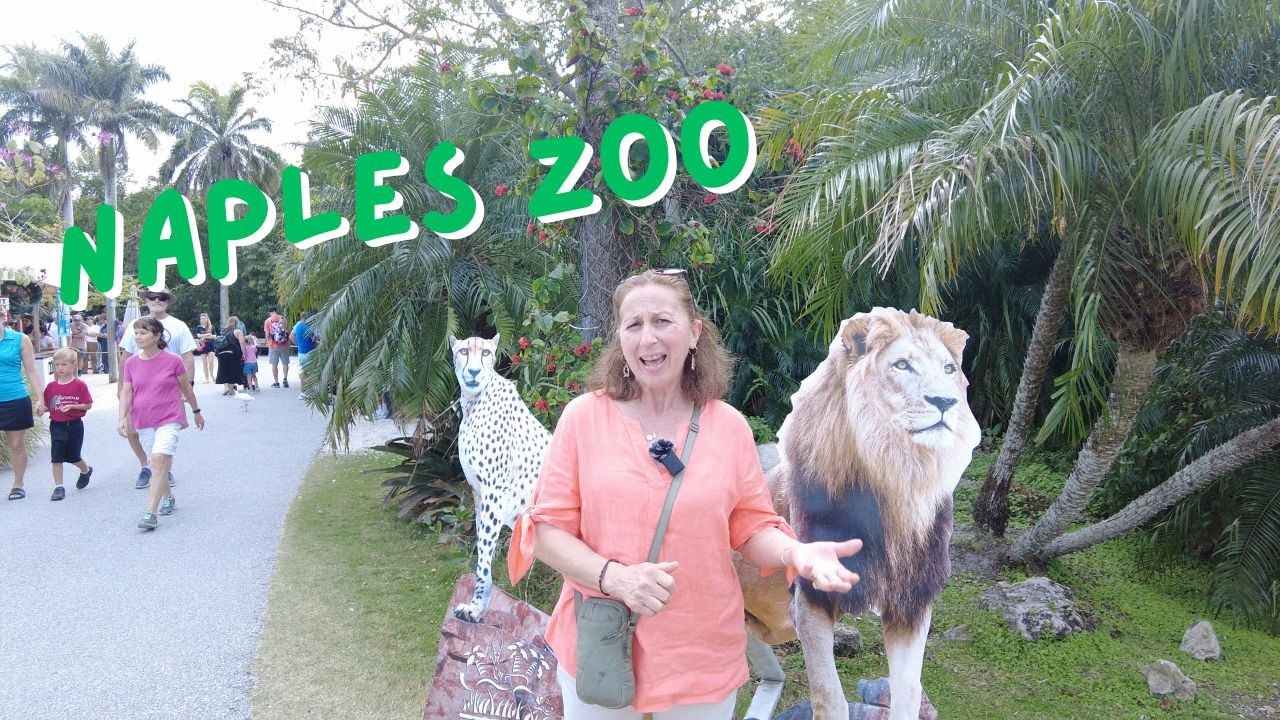 Discover Wild Zebras and Alligators at Naples Zoo