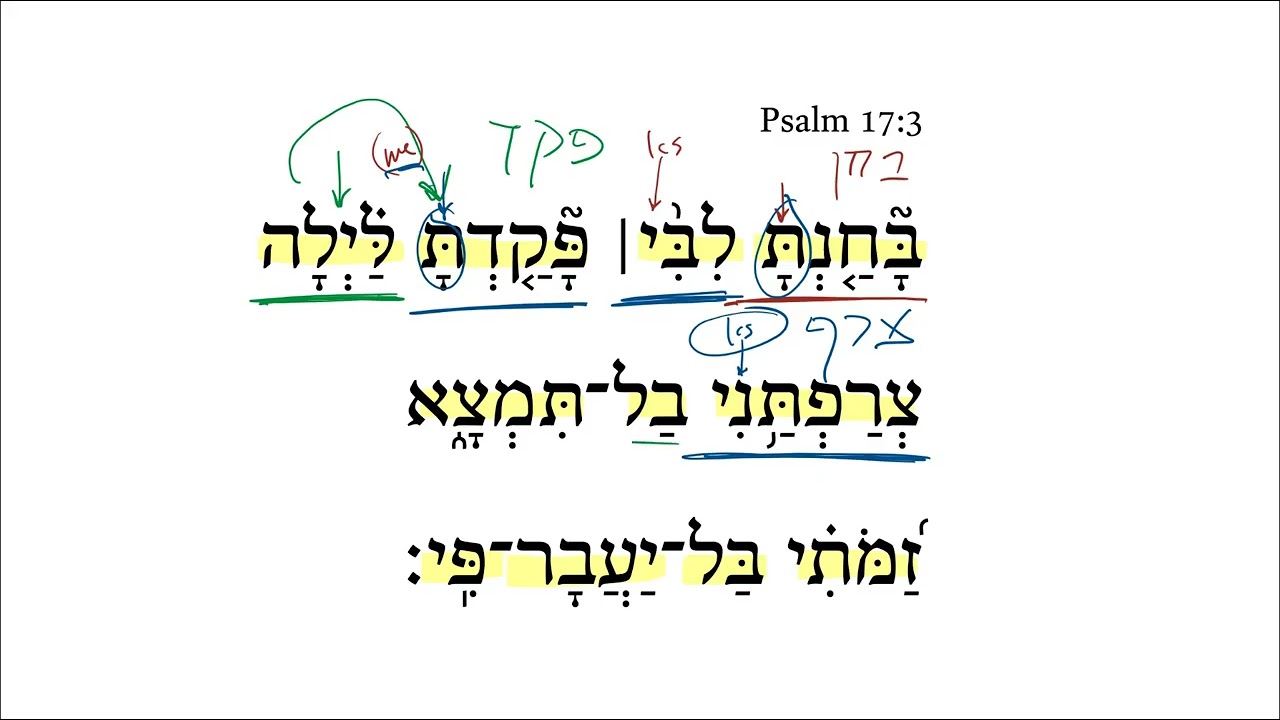 Psalm 17:3
