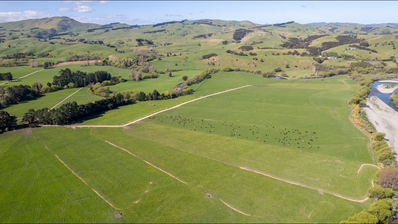 SOLD - Productive, Irrigated Dairy Unit Close to Masterton