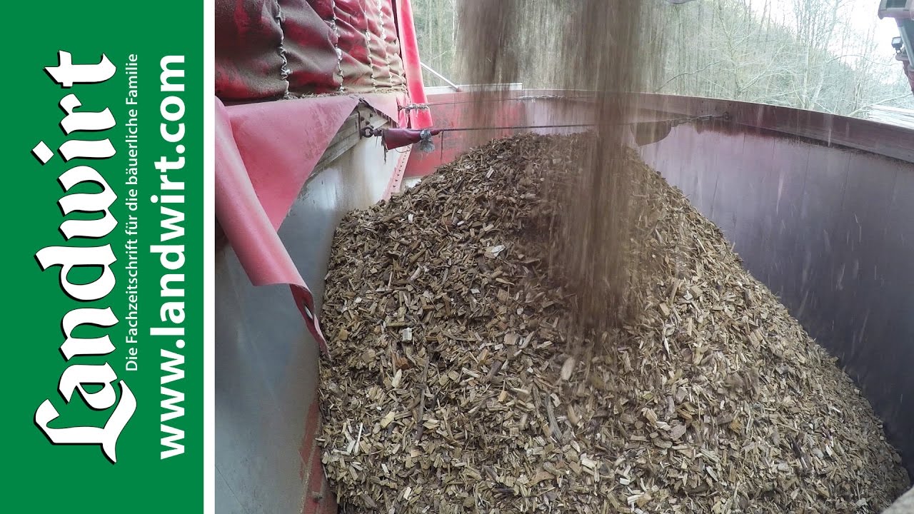 Richtig heizen mit Hackschnitzeln | landwirt.com