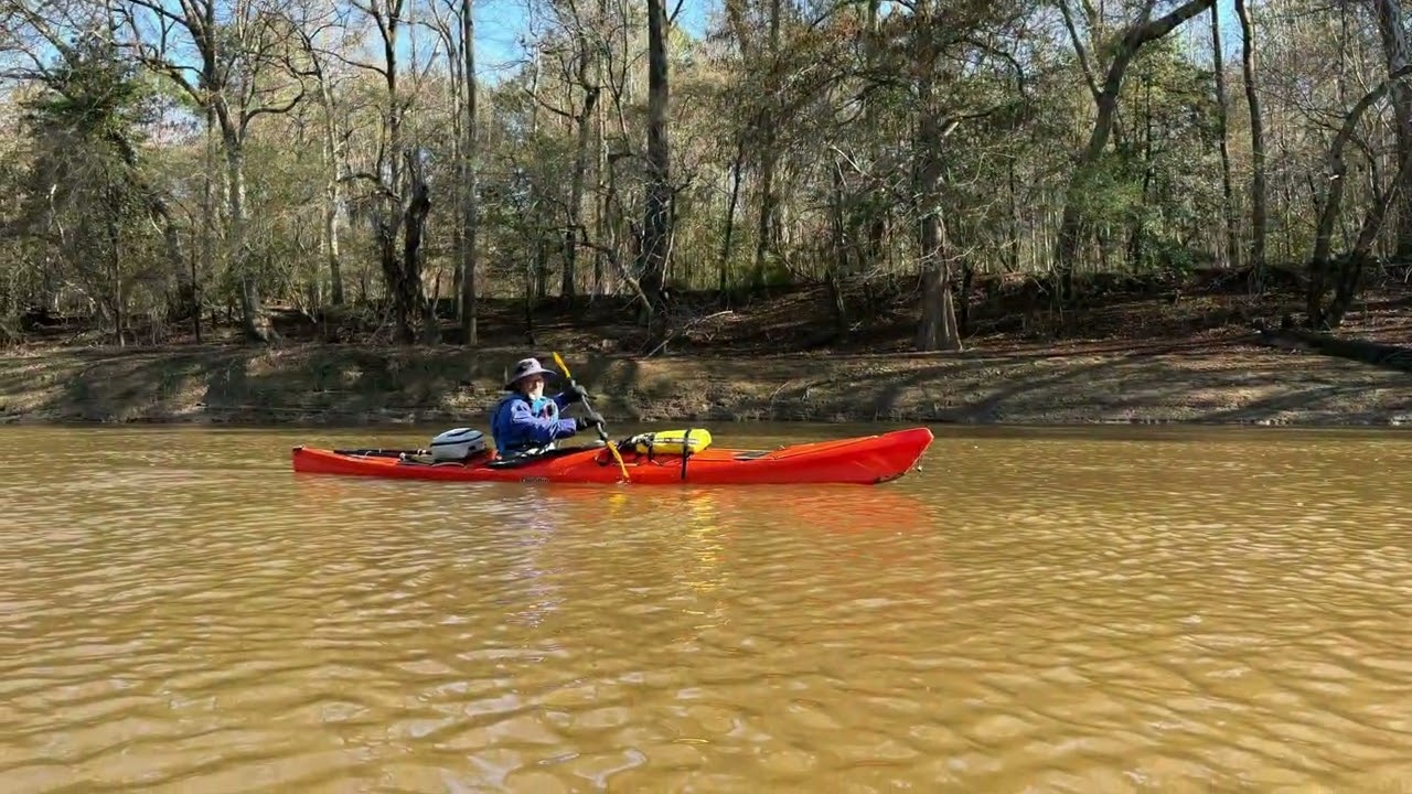 Neuse River - Prices Landing to Seven Springs - 3-13-2026