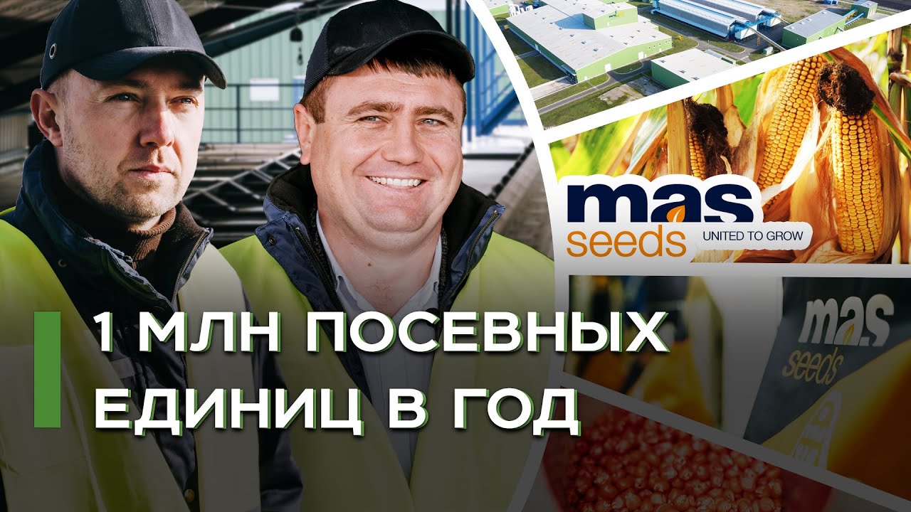 Как работает крупнейший семенной завод в Украине? | MAS Seeds | Latifundist