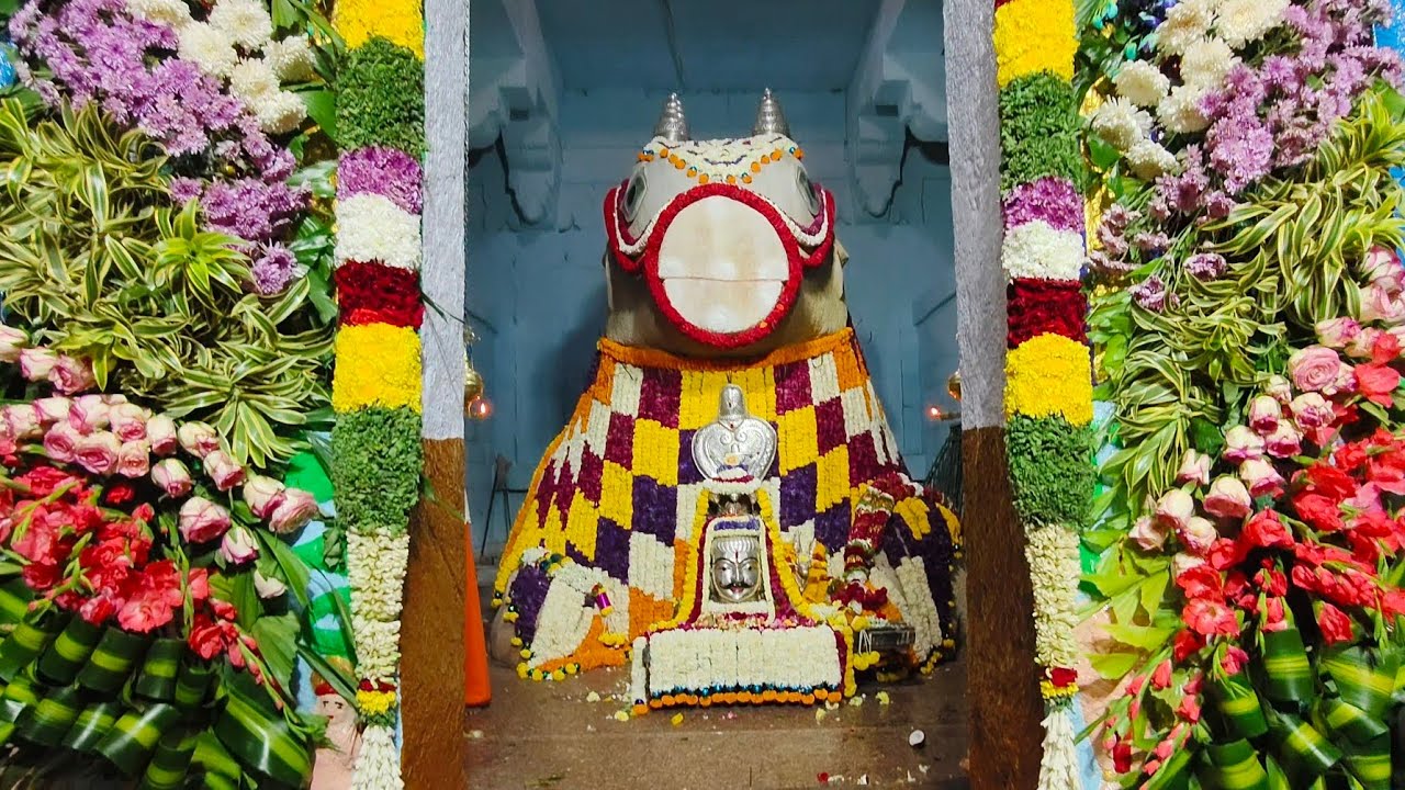 ಶ್ರೀ ದೊಡ್ಡಬಸವೇಶ್ವರ ಸ್ವಾಮಿ. Shri Kurugodu Dodda Basaveshwara Jatre, Bellary 2026.