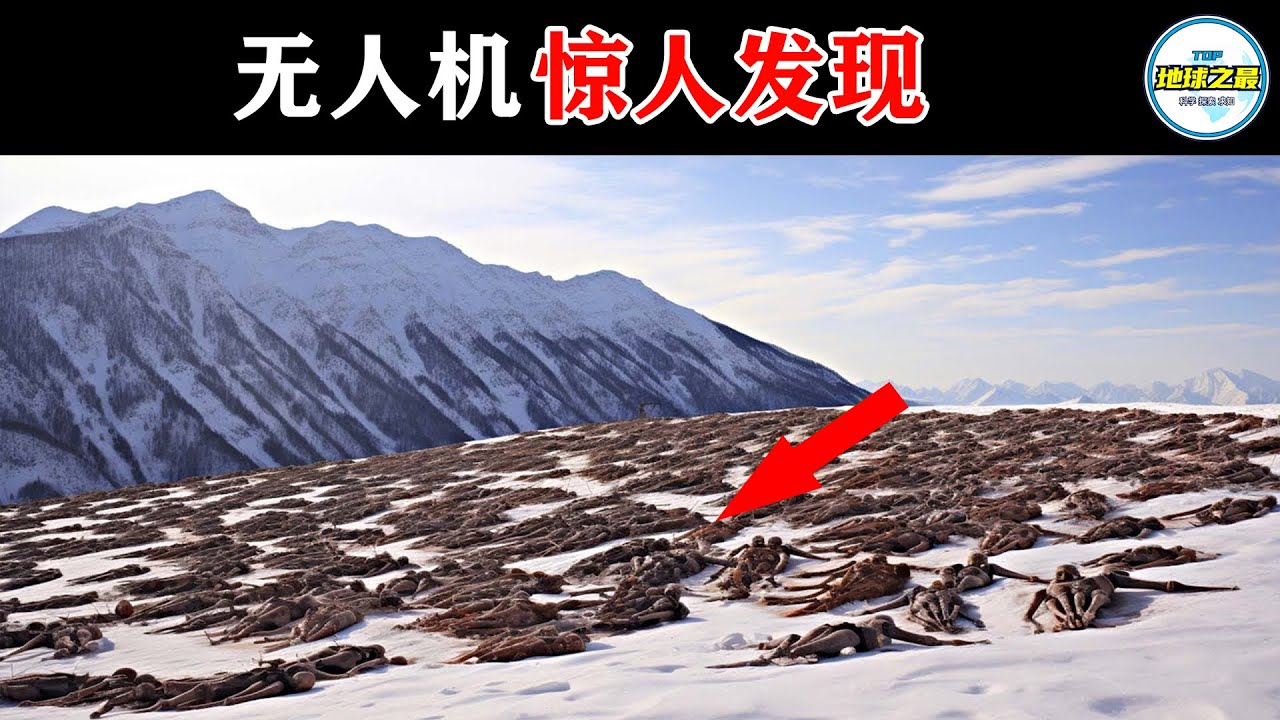 山谷密集的木乃伊令科学家感到恐慌！20段最惊人的无人机录像！如果不是视频曝光你绝对不会相信！丨地球之最#冷知识 #排名 #世界之最#惊人发现#世界之最top#出类拔萃#top10#海豹木乃伊之谜