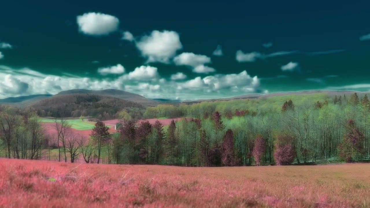 Briars of North America "Hallowell" (official music video)