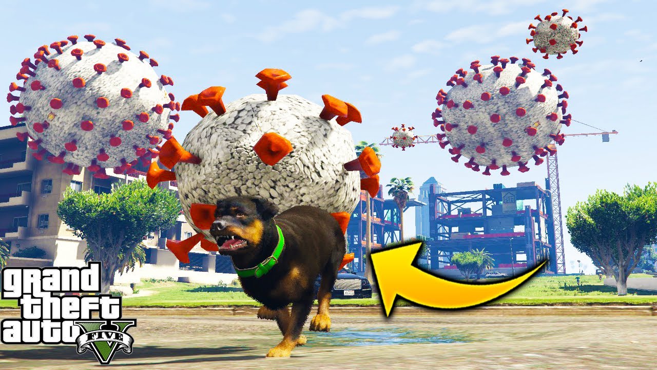 ¿Puede Chop Sobrevivir a La Pandemia del Virus 19 en GTA 5?