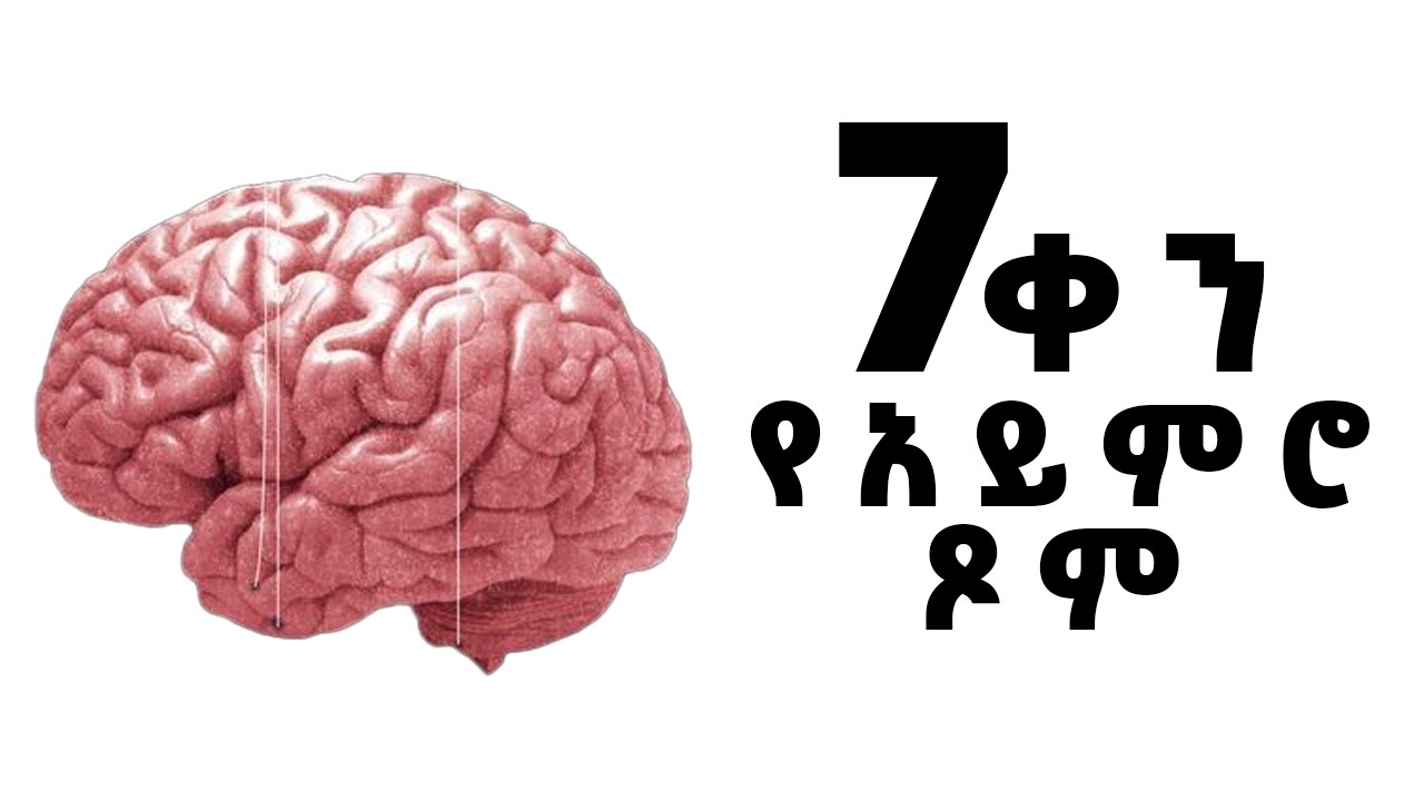 አይምሮን እንደገና ለማደስ የአይምሮ ጾም ለ7 ቀናት ብቻ | Mental Fasting | Inspire Ethiopia | Shanta | josi