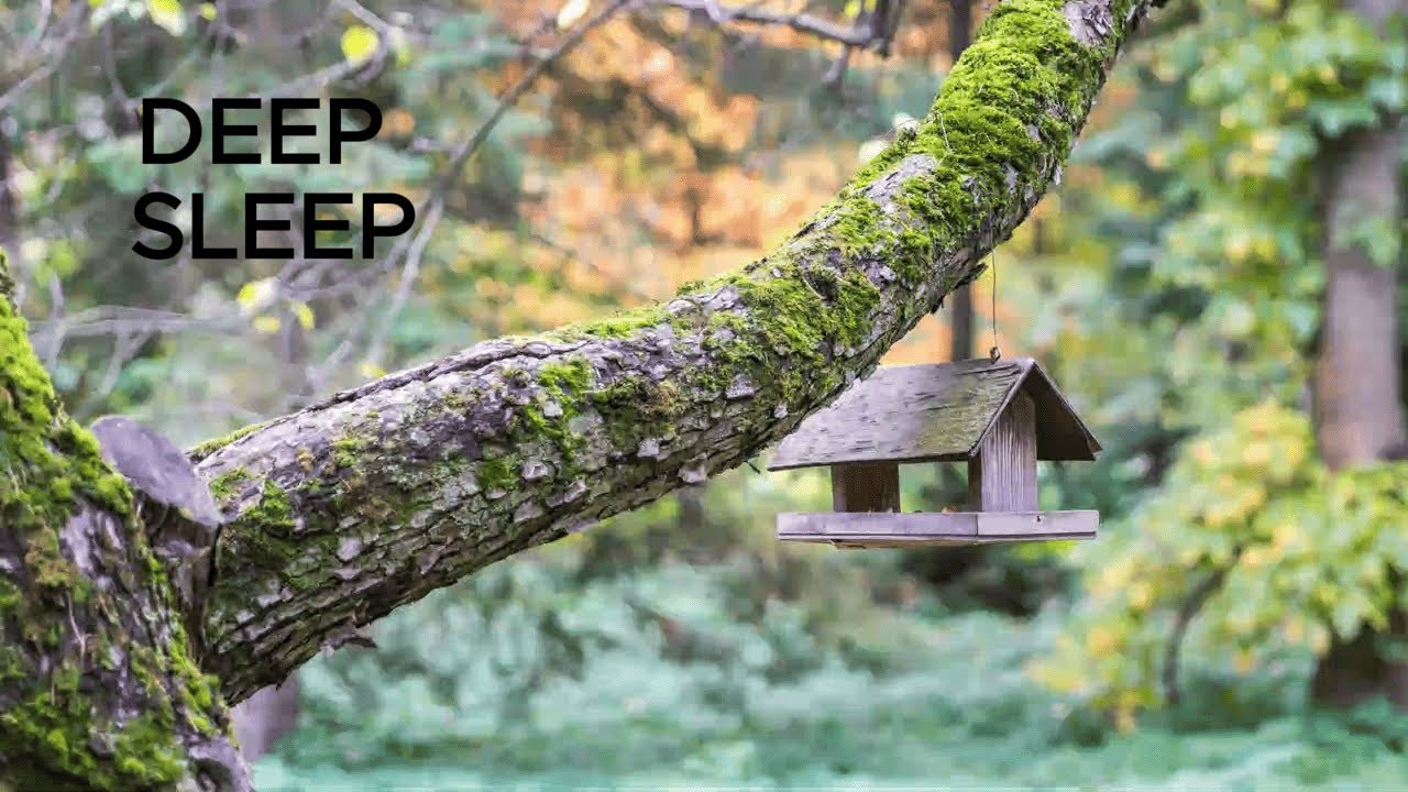 | 8 Hours Sacred Serenity: Gentle Water Drip & Ambient Organ Music | Focus, Study & Quiet Reflection