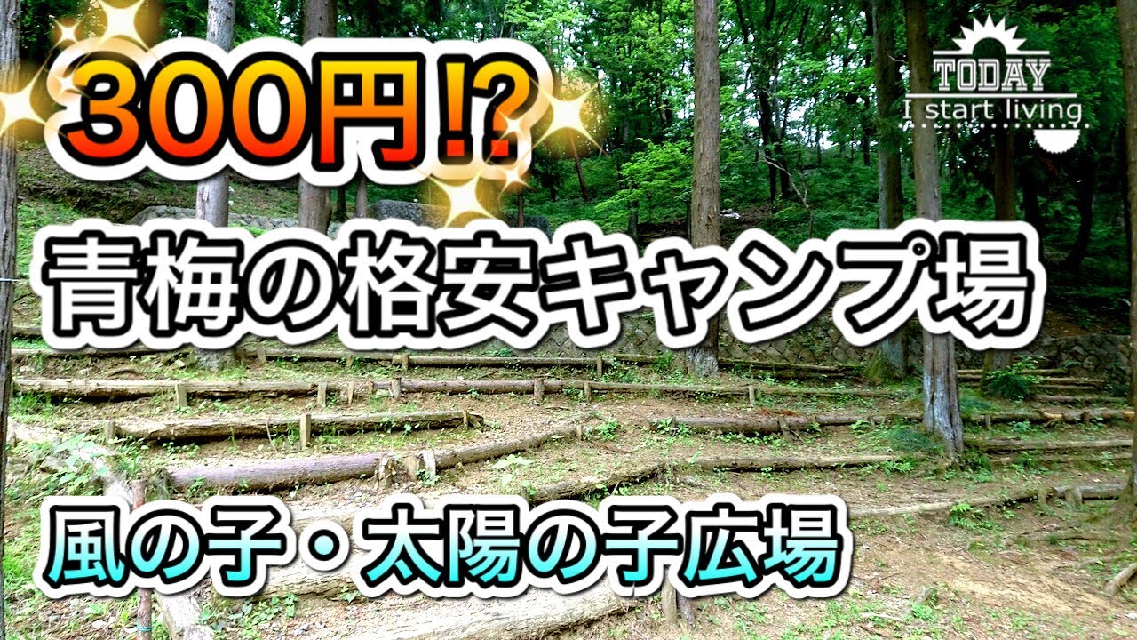 【希少】東京青梅市の格安キャンプ場！風の子・太陽の子広場　格安料金　神奈川　東京　関東　無料&格安キャンプ場