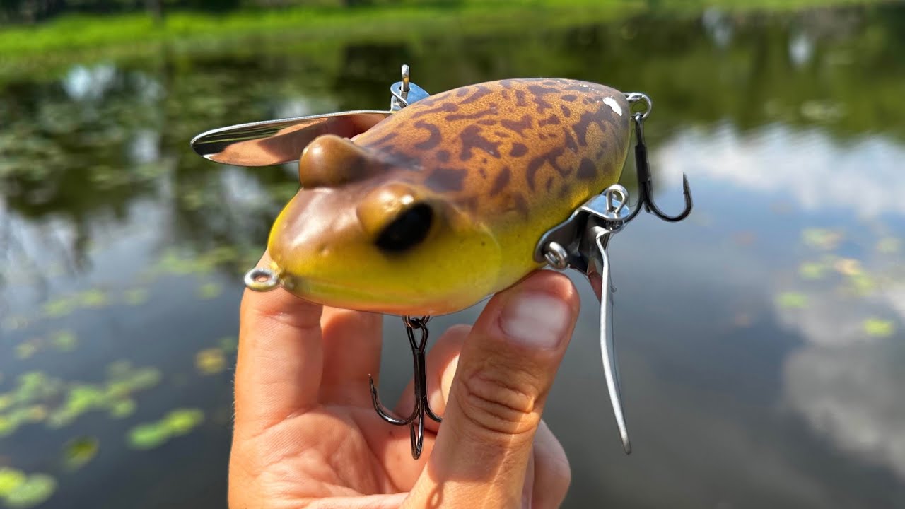 Fishing a Frog Lure for Whatever Bites!