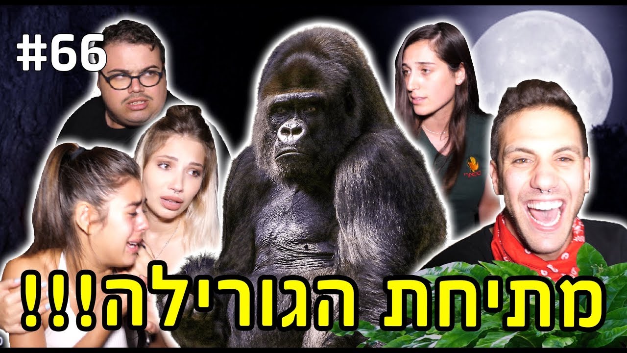 מתיחת הגורילה!!! (מתיחה מוגזמת)