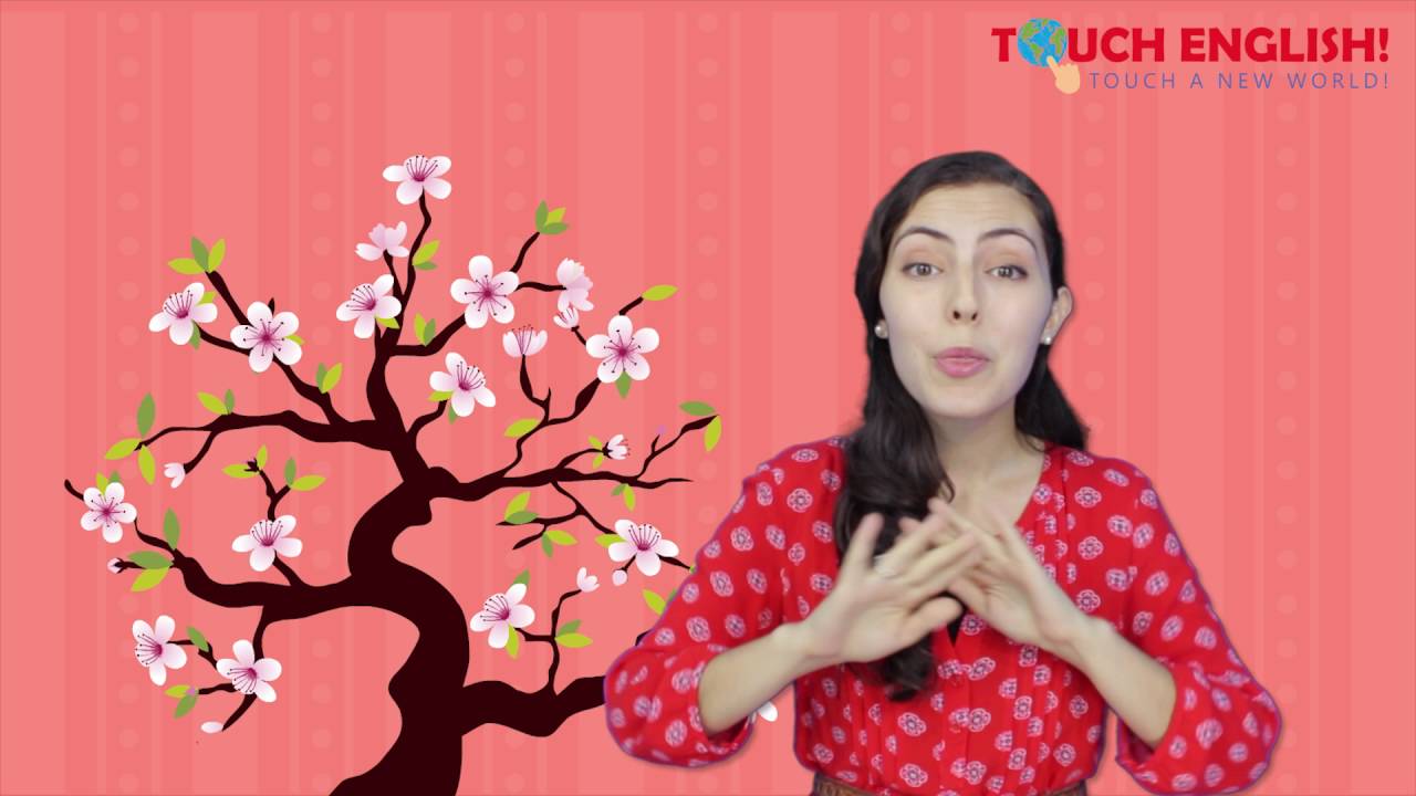 Touch English! Songs - We Love Tet Holiday