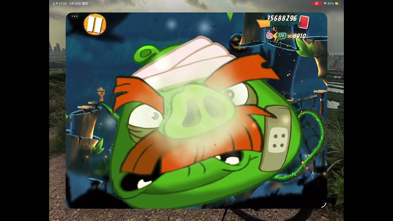 2026-2-25 daily challenge & king pig panic & mighty eagle camp