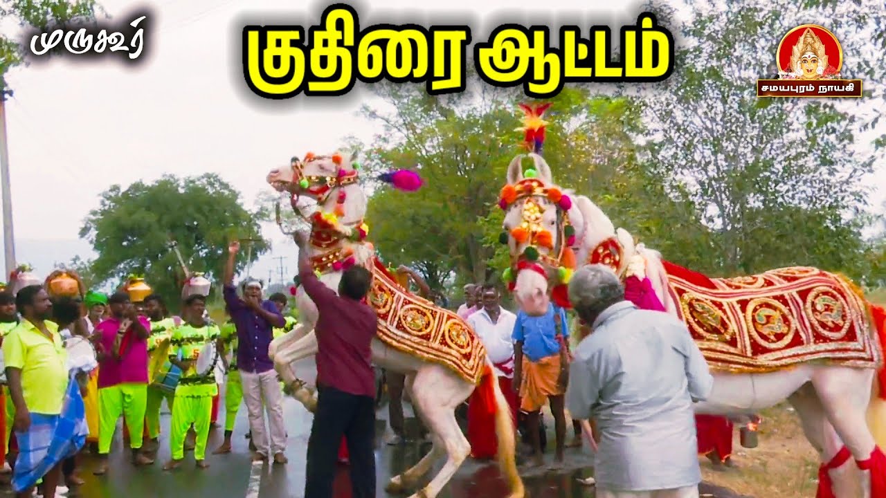 முருகூர் செல்லாண்டியம்மன் கோவில் குதிரை ஆட்டம்