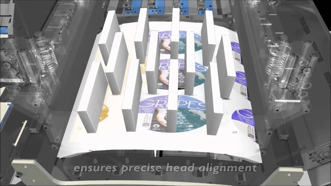 Domino Printing: Digital label press N600i StitchLink animation