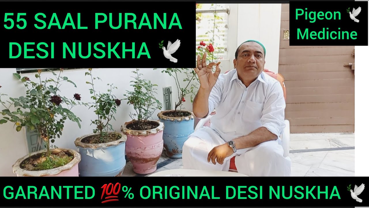 55 SAAL PURANA DESI NUSKHA 🕊| ORIGINAL 💯 % GARANTED DESI NUSKHA | PIGEONS CARE🕊| PIGEON MEDICINE 💊 🕊
