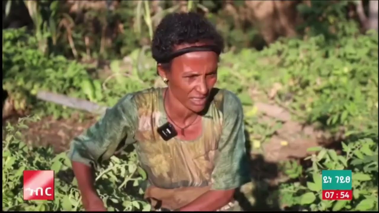 የመስኖ ልማት በጀግናዋ ሴት